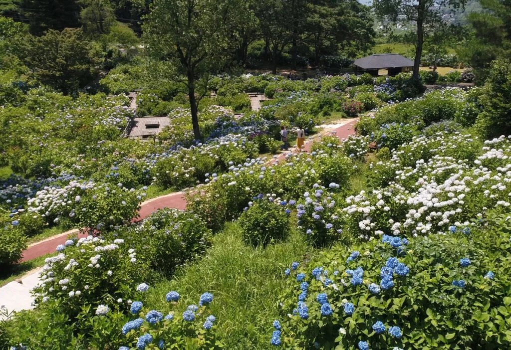 🏞️ 마이즈루 자연 문화원(마이즈루시젠분카엔) 이미지 4
